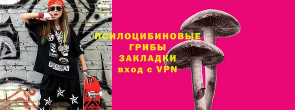 соль ск Алексеевка