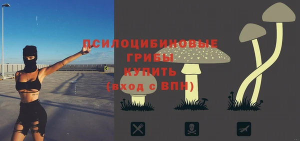 Альфа ПВП Абаза