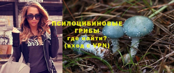 МДПВ Алзамай