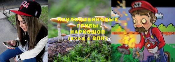 МДПВ Алзамай