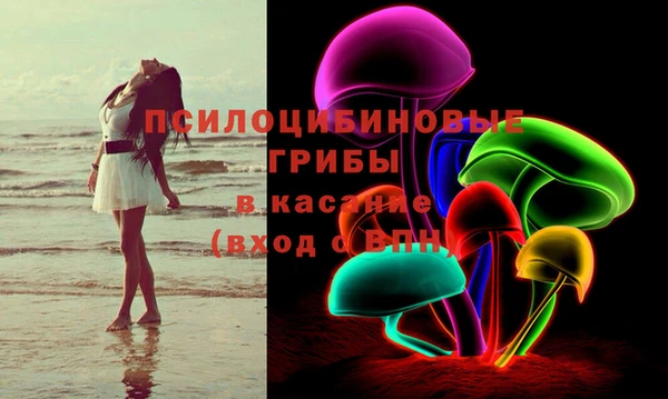 МДПВ Алзамай