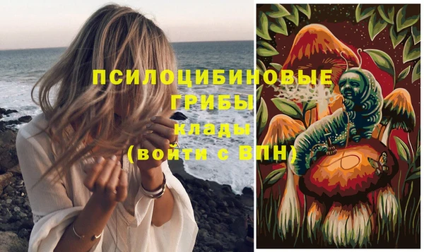 МДПВ Алзамай