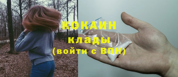 соль ск Алексеевка