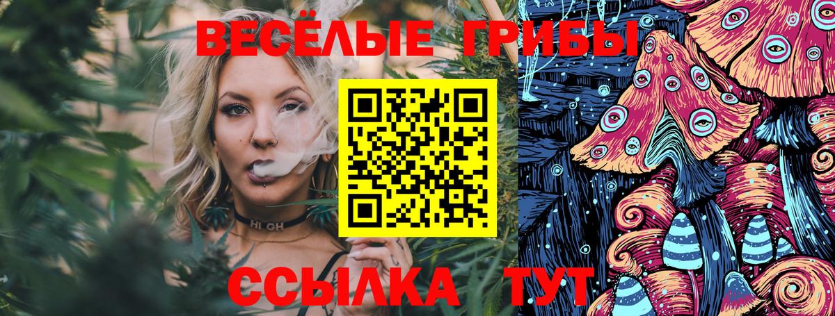 Псилоцибиновые грибы Psilocybine cubensis Нягань
