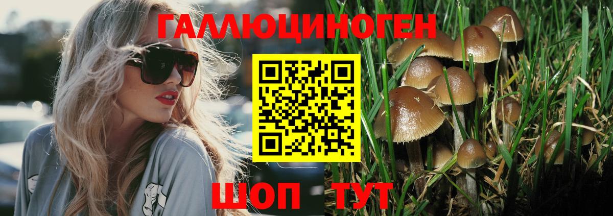 Нягань  Галлюциногенные грибы Psilocybe  Псилоцибиновые грибы ЛСД  Вход с VPN 