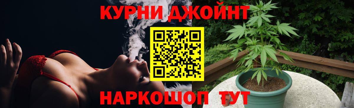 Конопля план Нягань